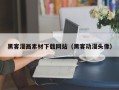 宜阳黑客漫画素材下载网站（黑客动漫头像）