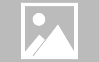宜阳网页设计师周记（网页设计周记26篇300字）