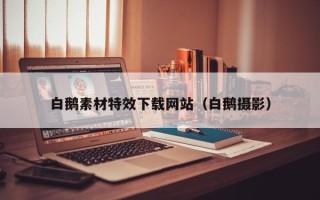 宜阳白鹅素材特效下载网站（白鹅摄影）